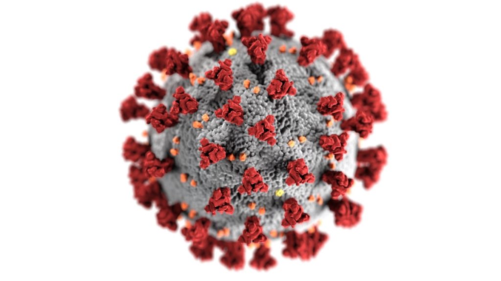 scientific image of virus under microscope